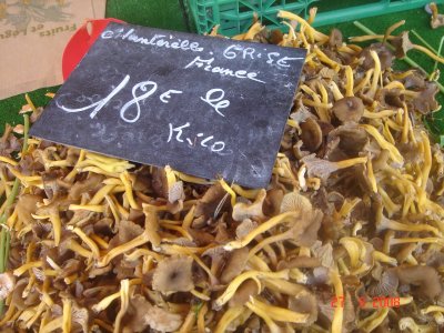 cogumelo no mercado ao ar livre de Aix-en-Provence (França)